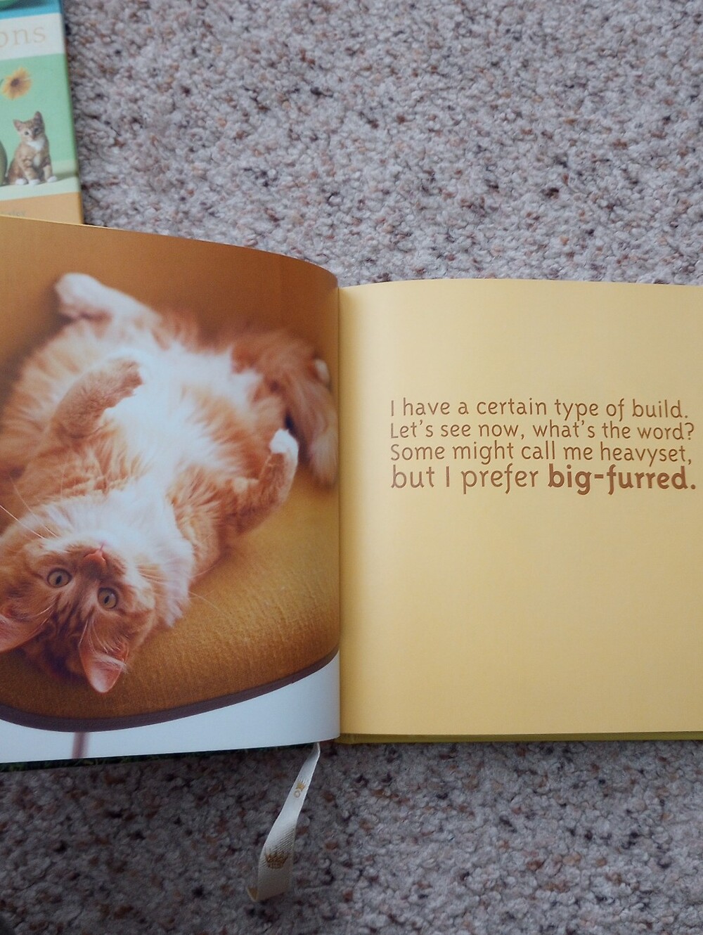 Lot Of Cat Books 5 Total Cats Kittens Cute Pictures Facts - Picture 12 of 13
